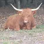 Casa vacanze Bos Huize Vriendschap