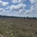 Bos Huize Vriendschap Hattemerbroek