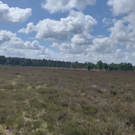 Holiday home Bos Huize Vriendschap Hattemerbroek