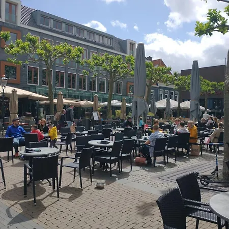 Bos Huize Vriendschap Hattemerbroek
