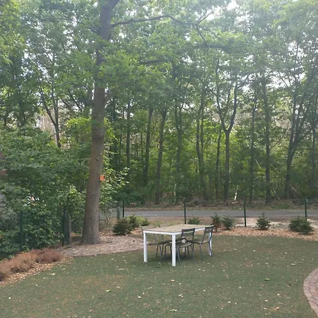Bos Huize Vriendschap * Hattemerbroek