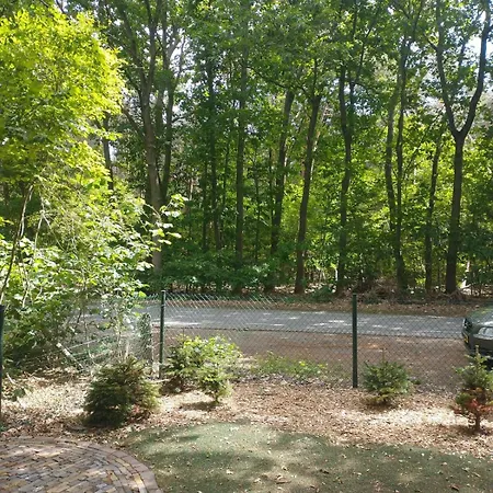 Bos Huize Vriendschap Dom wakacyjny Hattemerbroek