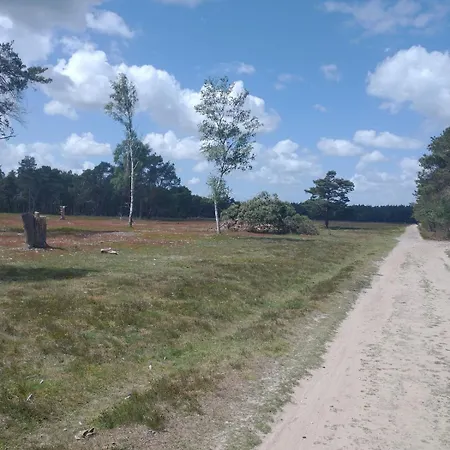 Bos Huize Vriendschap Holiday home *