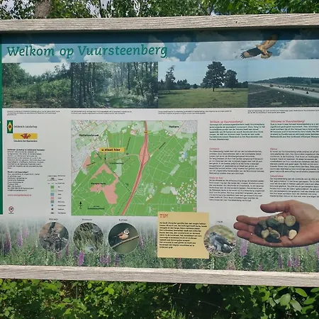 Dom wakacyjny Bos Huize Vriendschap