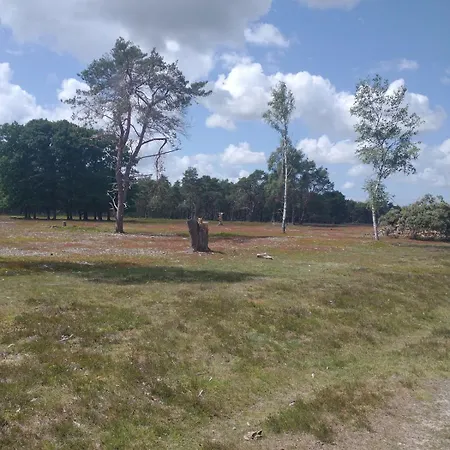 Bos Huize Vriendschap