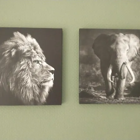 Bos Huize Vriendschap *