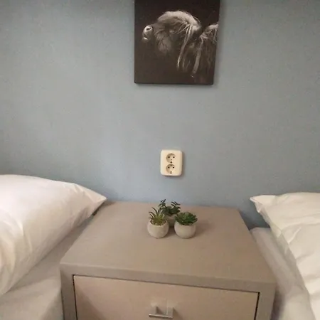 Bos Huize Vriendschap Dom wakacyjny