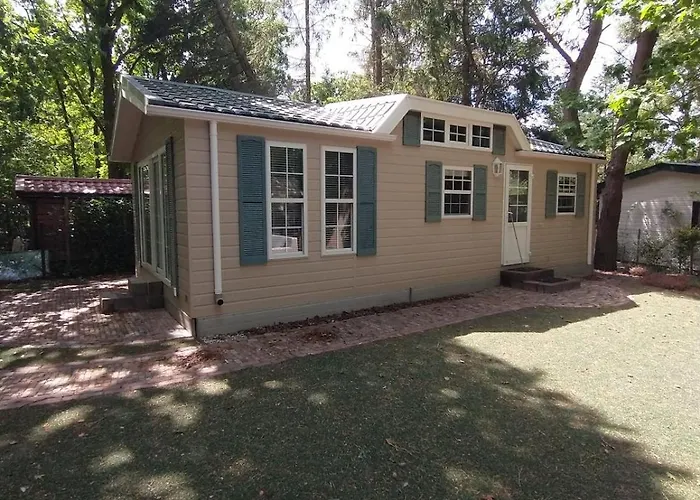 Bos Huize Vriendschap * Hattemerbroek