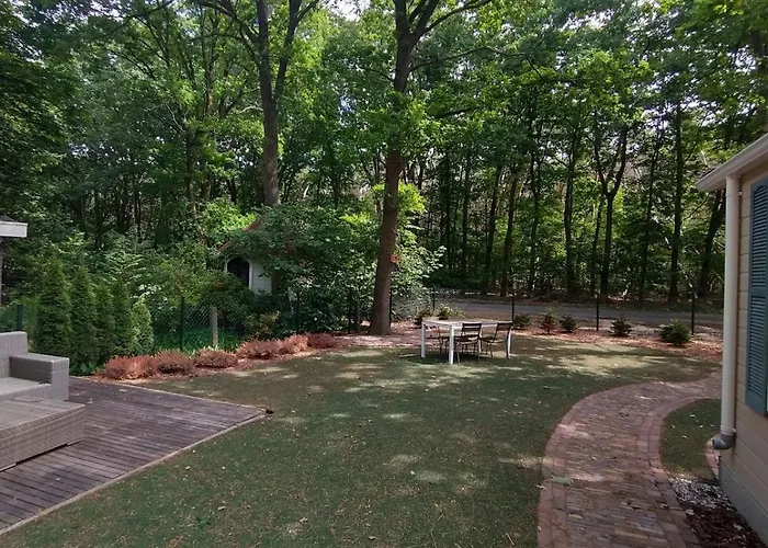 Bos Huize Vriendschap Hattemerbroek