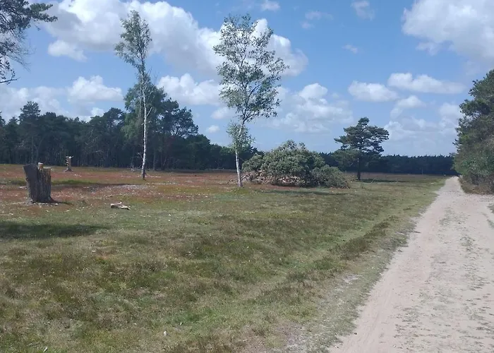 Bos Huize Vriendschap Feriehus *