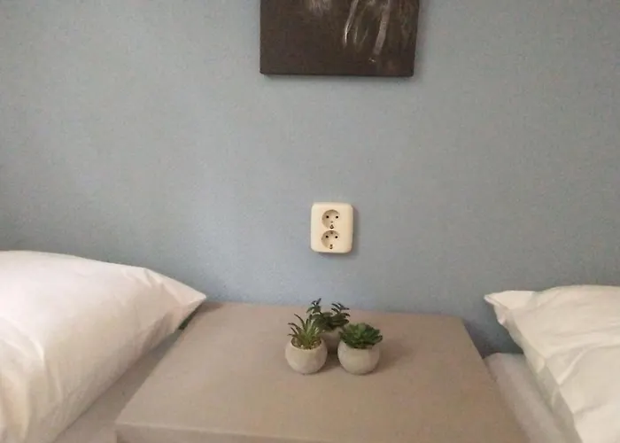 Bos Huize Vriendschap Feriehus *