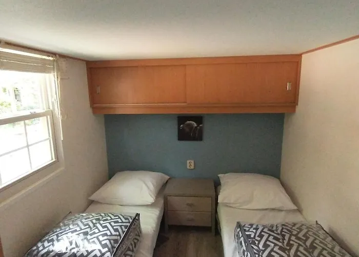 Bos Huize Vriendschap * Hattemerbroek