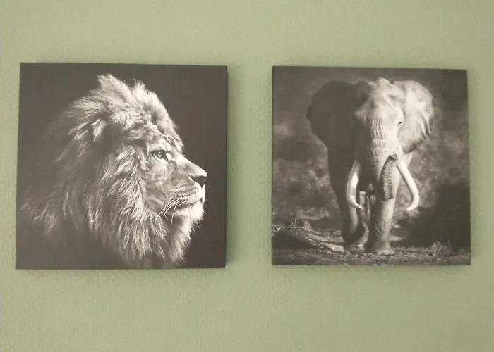 Bos Huize Vriendschap Nyaraló