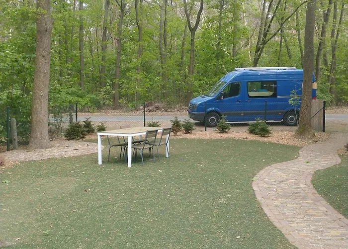 Bos Huize Vriendschap Nyaraló Hattemerbroek