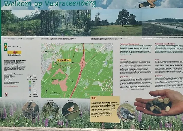 Nyaraló Bos Huize Vriendschap