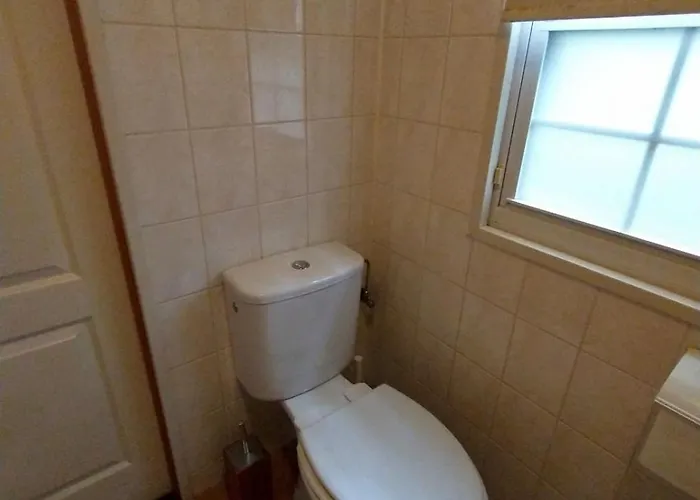 Bos Huize Vriendschap Nyaraló Hattemerbroek