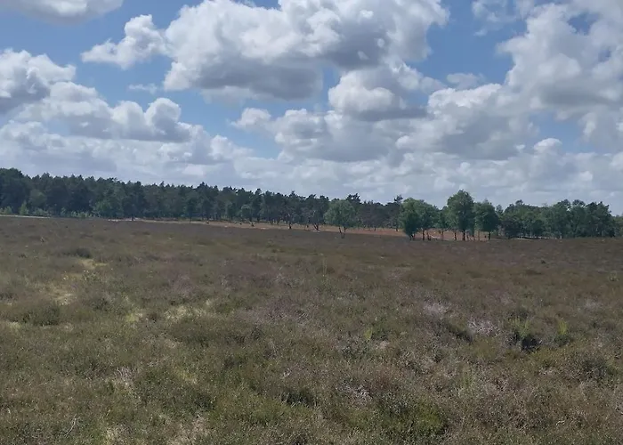 Bos Huize Vriendschap * Hattemerbroek