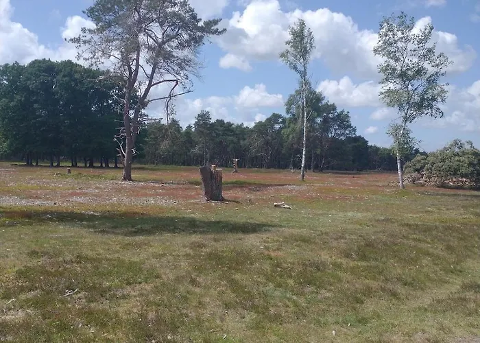 Bos Huize Vriendschap Nyaraló