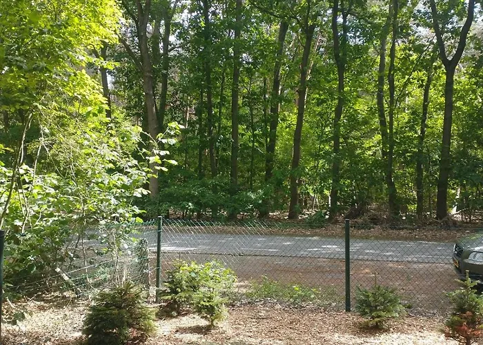 Bos Huize Vriendschap Nyaraló Hattemerbroek