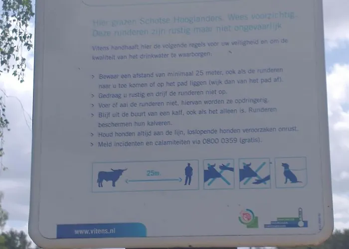 Bos Huize Vriendschap * Hattemerbroek