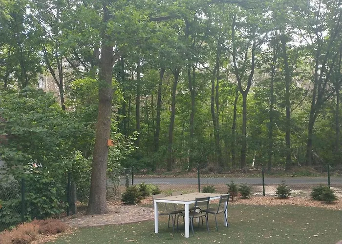 Bos Huize Vriendschap Nyaraló Hattemerbroek