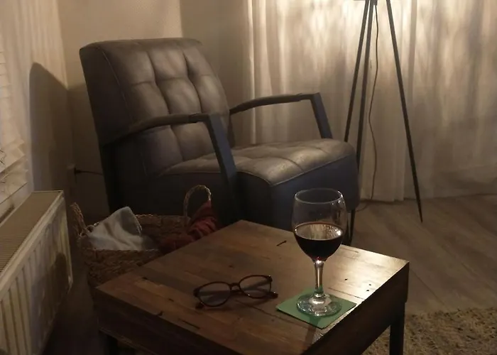 Bos Huize Vriendschap Nyaraló Hattemerbroek