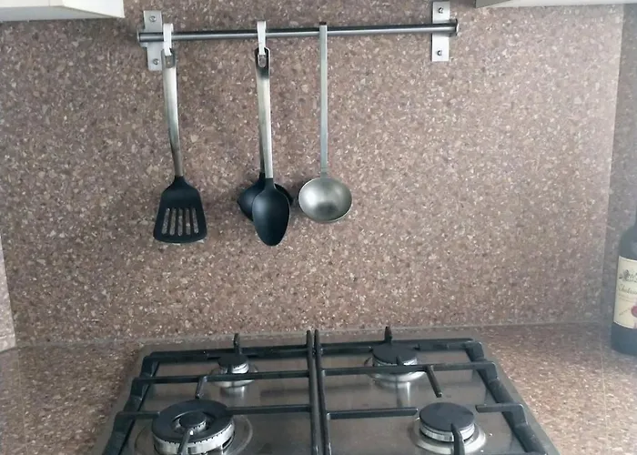 Bos Huize Vriendschap Nyaraló Hattemerbroek